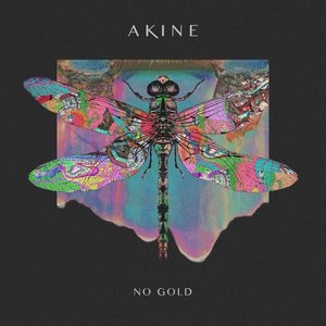 Image for 'No Gold'