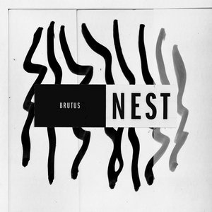 Image for 'Nest'