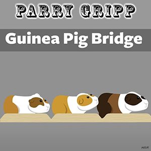 Image for 'Guinea Pig Bridge'