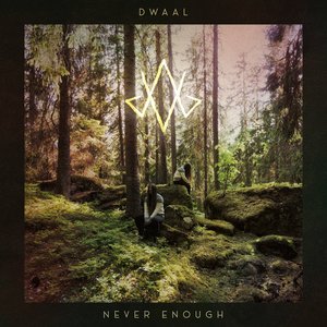 Image for 'Never Enough'