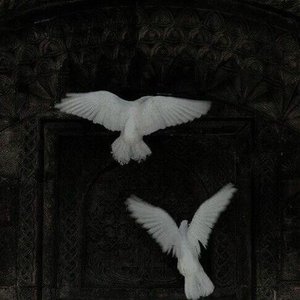 'half alive'の画像