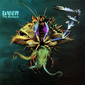 'The Mollusk'の画像