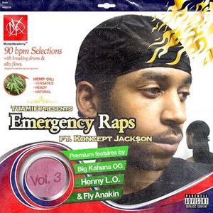 Image for 'Emergency Raps, Vol. 3'