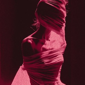 “A Portrait of Red”的封面