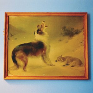 Image for 'Travels In Constants 21'