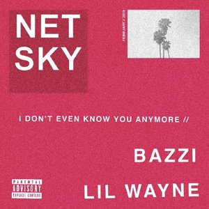 Image for 'I Don’t Even Know You Anymore'