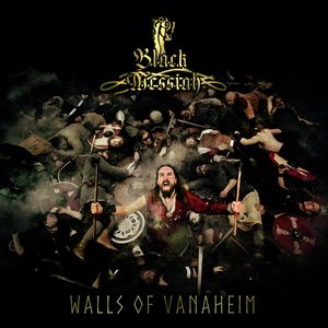 Image for 'Walls Of Vanaheim'