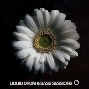 Изображение для 'Liquid Drum and Bass Sessions 2019 Vol 2'