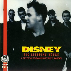 Image for 'Big Sleeping House'