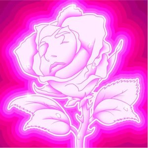 “Rose Fluo”的封面