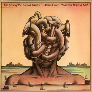 Image for 'The Case of the 3 Sided Dream in Audio Color'