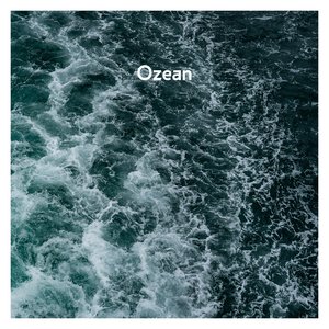 Image for 'Ozean'