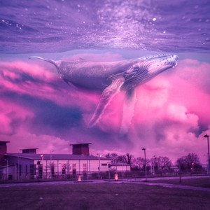 Изображение для 'Grab the Aesthetic by its Neck and Ring it Until it's Dead'