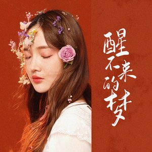 “醒不来的梦”的封面