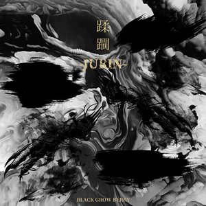 “JURIN”的封面