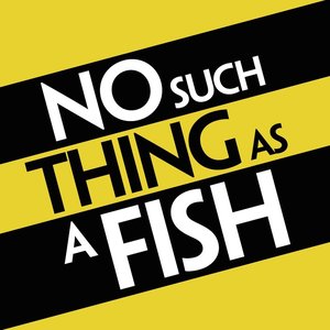 Image for 'No Such Thing As A Fish'