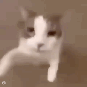 'me'の画像