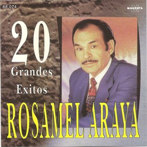 Image for '20 grandes exitos'