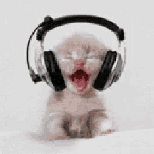 bwkshi