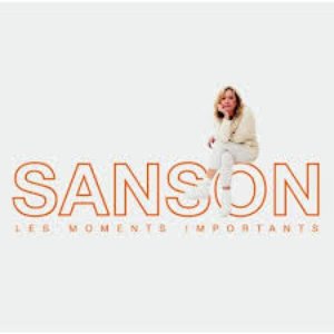 Image pour 'Les moments importants - Best Of Véronique Sanson'