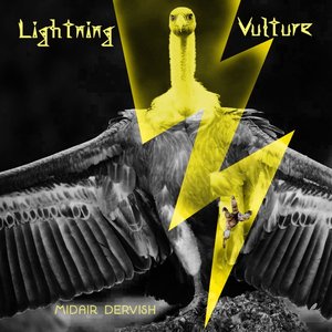 'Lightning Vulture'の画像