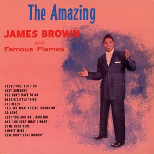 Изображение для 'The Amazing James Brown'