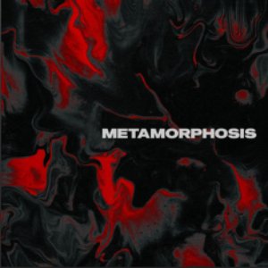 Image for 'METAMORPHOSIS'