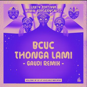 Image for 'Thonga Lami (Gaudi Remix)'