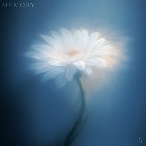 Image for 'Memory'