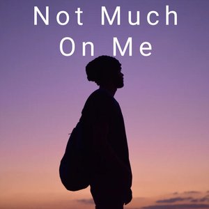 Bild für 'Not Much on Me'