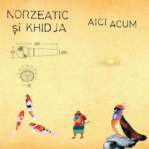 Изображение для 'Aici acum'