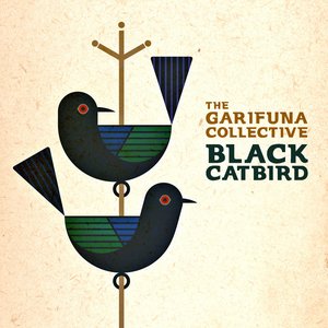 Imagem de 'Black Catbird'