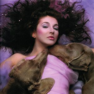 Image for 'Kate Bush'