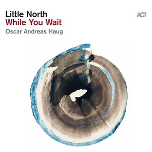 Image for 'While You Wait'