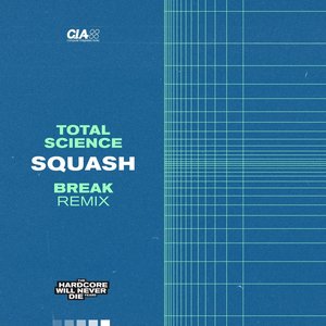 Image for 'squash (break remix)'