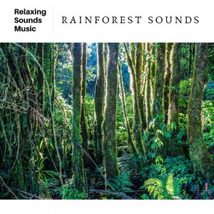 “Jungle & Rainforest Sounds”的封面