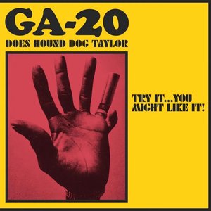 Bild für 'Try It...You Might Like It: GA-20 Does Hound Dog Taylor'