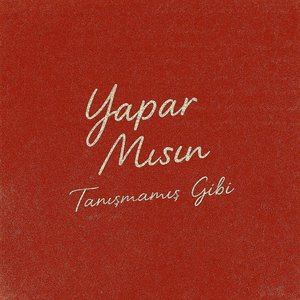 Image for 'YAPAR MISIN?'