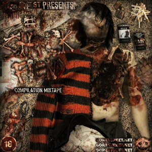 Image pour '#1 SHOCKFIEND (COMPILATION)'