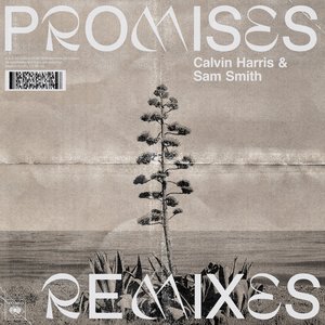 Image for 'Promises (with Sam Smith) [Remixes]'