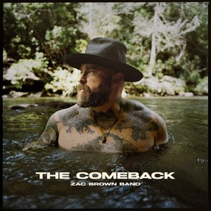 Image for 'The Comeback'