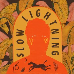 Изображение для 'Slow Lightning'