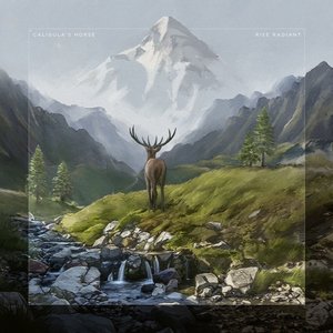“Rise Radiant (Bonus Tracks Version)”的封面