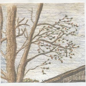 Image for 'Thou'