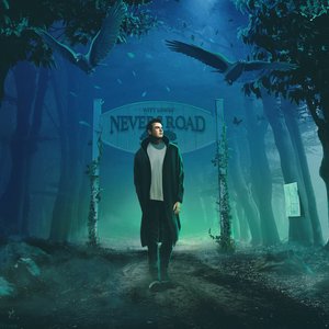 “Nevers Road”的封面