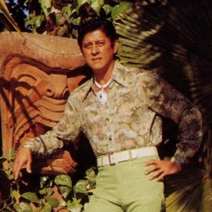 'Arthur Lyman'の画像