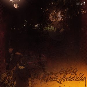 Image for 'Ondas Médias & Frequência Modulada'