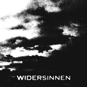 Image for 'Widersinnen'