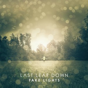 Image for 'Fake Lights'