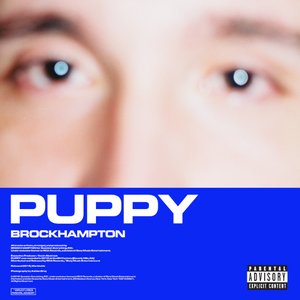 Изображение для 'PUPPY'